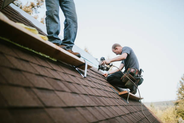 Quick and Trustworthy Emergency Roof Repair Services in Sturgis, SD